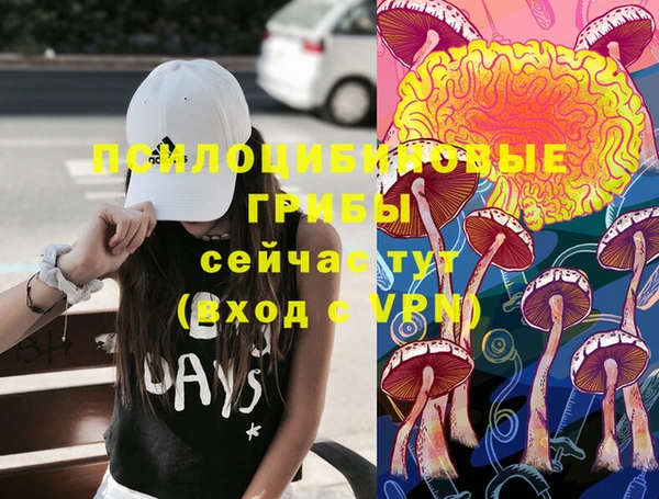 стафф Алзамай
