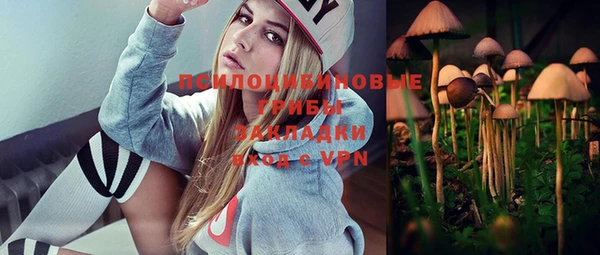 амф Абаза
