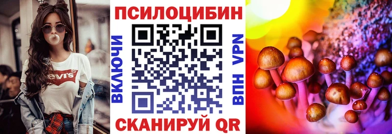 Псилоцибиновые грибы мицелий  kraken ONION  Элиста 