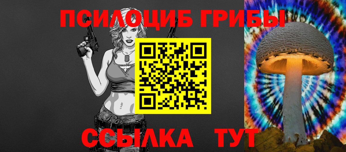 Галлюциногенные грибы Cubensis Элиста