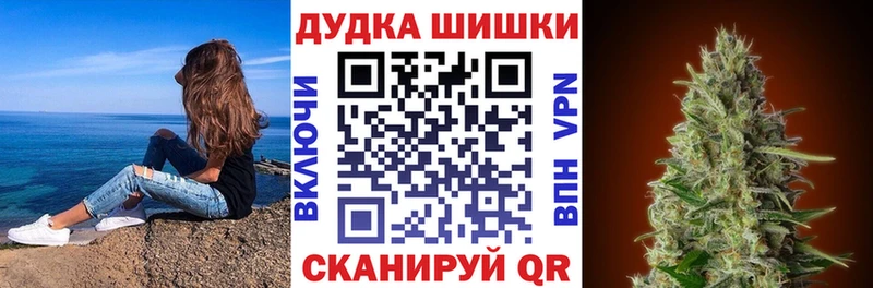 Каннабис сатива  Элиста 