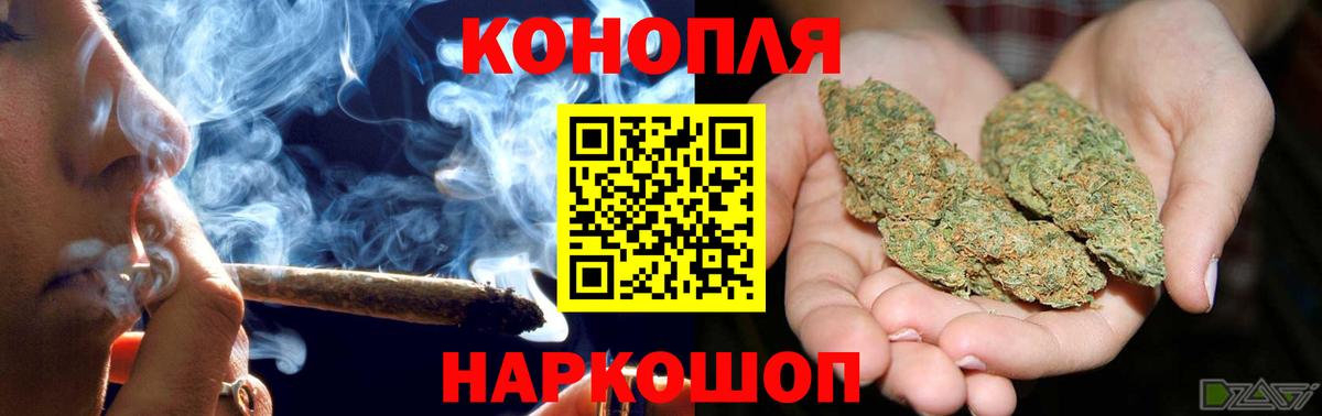 Шишки марихуана тримм  Канабис план  Каннабис VHQ  Вход с VPN  Шишки марихуана Bruce Banner  Элиста 